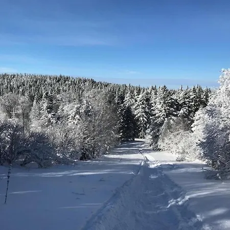 T2 Agreable Au Mont-dore Avec Terrasse Pour 4 Personnes - Fr-1-608-146 Apartment